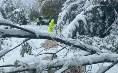 Junački rad više od sto radnika vratio struju moravičkom okrugu