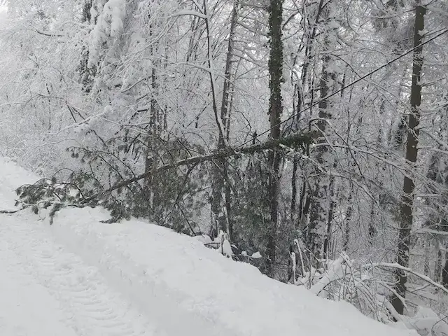 Sneg nije izazvao probleme u Lučanima