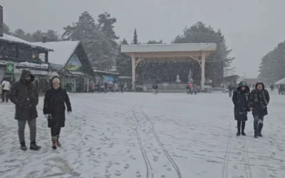 Za samo nekoliko dana Zlatibor posetilo 100.000 ljudi