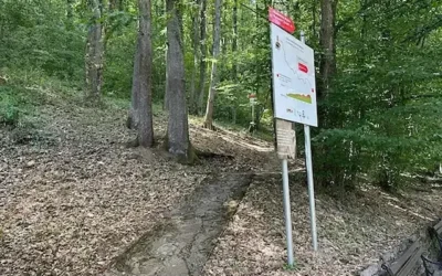 U zagrljaju prirode i duhovnosti: Staza patrijarha Pavla kao simbol zdravlja u Gornjoj Trepči