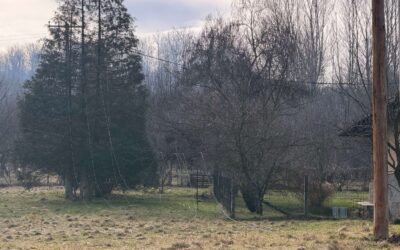 Velika ulaganja u elektomrežu u Gornjem Milanovcu