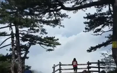 Tara i Drina na tronu turizma:Bajina Bašta dobila prestižno priznanje