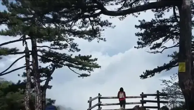 Tara i Drina na tronu turizma:Bajina Bašta dobila prestižno priznanje