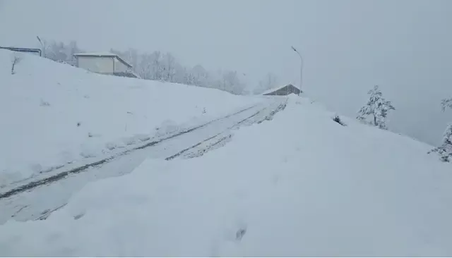 Sneg od jutra,službe na terenu:Putevi prohodni u Lučanima i Gornjem Milanovcu